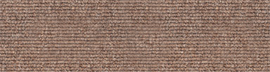 Class 2 Carpet